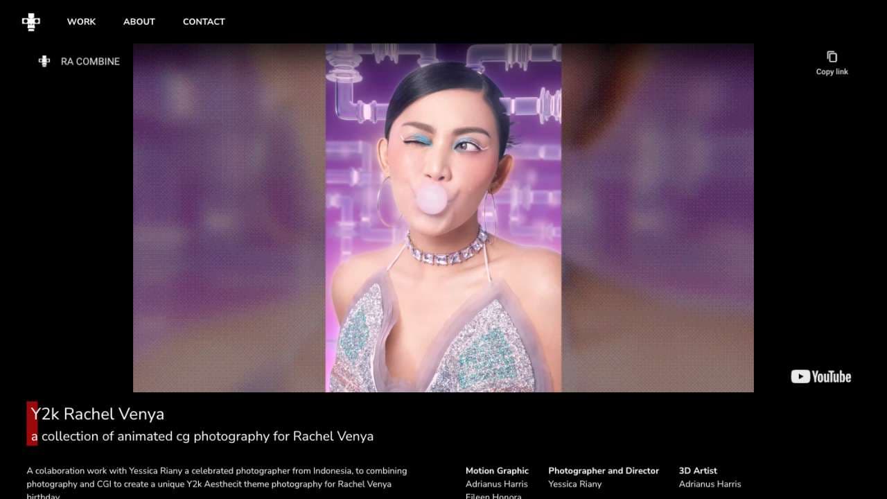 A video and description project on project detail page